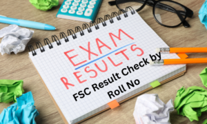 Read more about the article FSC Result Check by Roll No