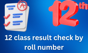 Read more about the article 12 Class Result Check by Roll Number